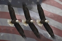 EaglesFlagClouds_4157