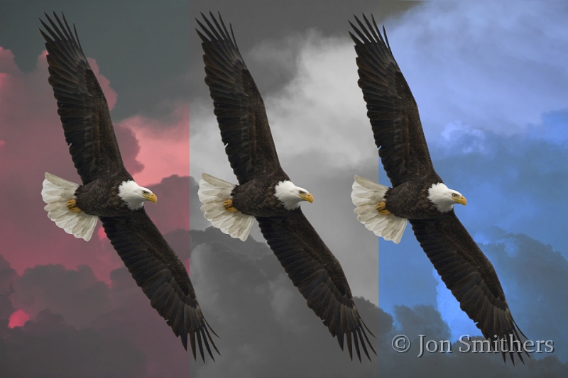 031808_6009cUSA-T.jpg