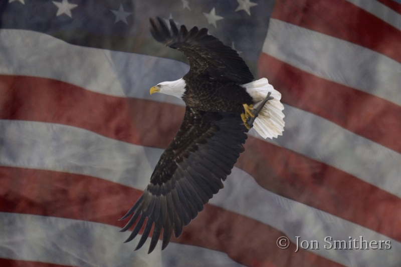 032108_9025-Flag.jpg