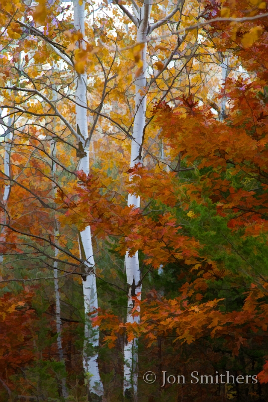 100910_0332-TS.jpg