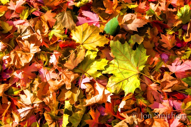 110313_5948-TS.jpg