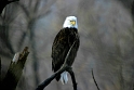011604_6155LTS