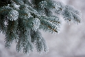 011910_5373-TS