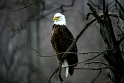022504_8625LTS