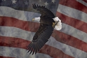 032108_9025-Flag
