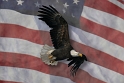 032505_7294-Flag