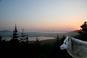 071005_2580we