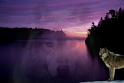 082611_2086m-WSC2