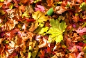 110313_5948-TS