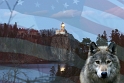 111004_7435-ww-Flag
