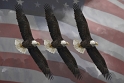 EaglesFlagClouds_4157