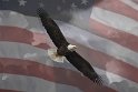 EagleFlagClouds_4157