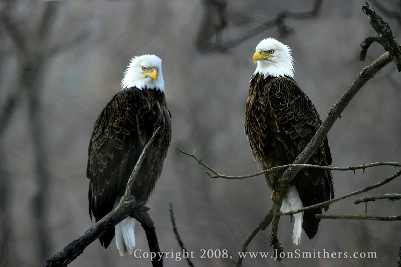 011604_6155-022504_8625c.JPG